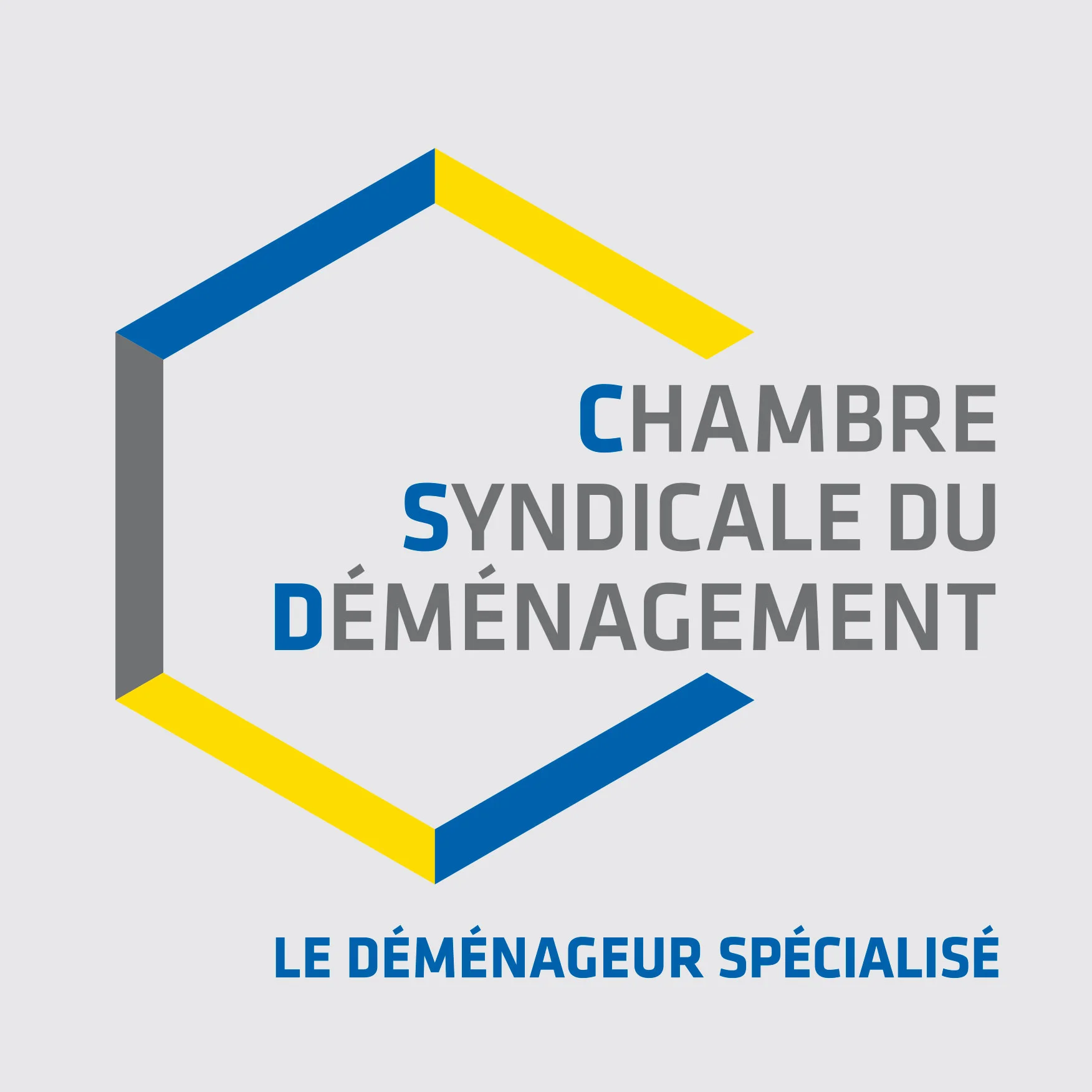 logo csd